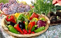 Uprawa i przechowywanie warzyw - portal warzywniczy radzi, jak traktować warzywa na każdym etapie