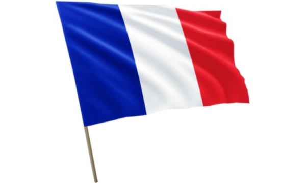 Loi Macron a przedstawiciel we Francji