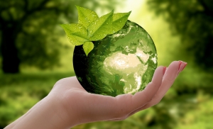 Jak Twoja firma wpływa na środowisko?