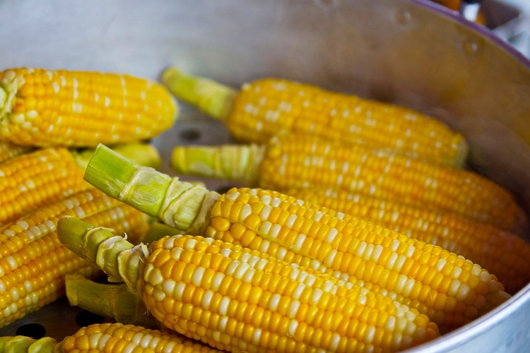 Corn shucking and its benefits